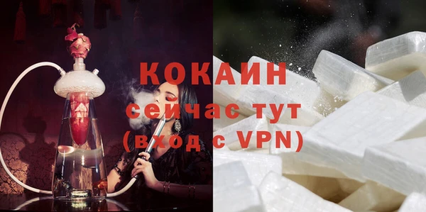 прущие грибы Балабаново