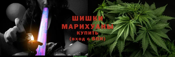 прущие грибы Балабаново