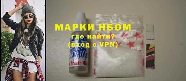 прущие грибы Балабаново