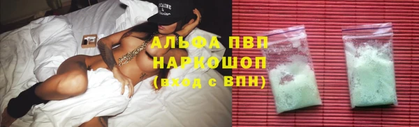 спиды Няндома