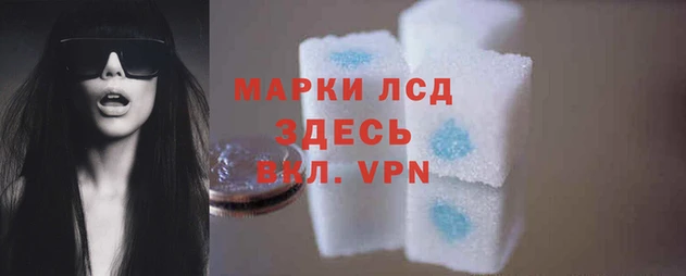 прущие грибы Балабаново