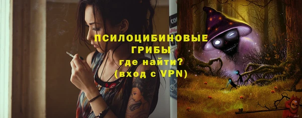 прущие грибы Балабаново